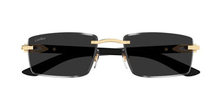 Cartier CT0582S men Gold Squared Sunglasses