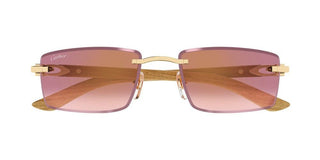 Cartier CT0582S men Gold Squared Sunglasses