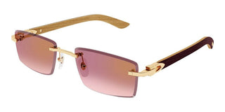 Cartier CT0582S men Gold Squared Sunglasses