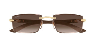 Cartier CT0582S men Gold Squared Sunglasses