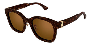 Cartier CT0589SA women Havana Geometric Sunglasses