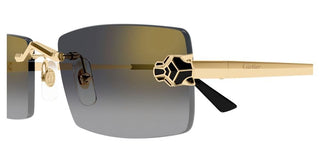 Cartier CT0598S unisex Gold Rectangle Sunglasses