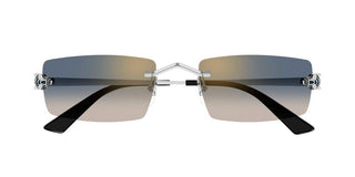 Cartier CT0598S unisex Silver Rectangle Sunglasses