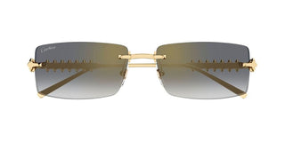 Cartier CT0604S unisex Gold Rectangle Sunglasses