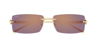 Cartier CT0604S unisex Gold Rectangle Sunglasses
