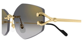 Cartier Ct0620s Unisex Gold Geometric Sunglasses