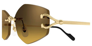 Cartier Ct0620s Unisex Gold Geometric Sunglasses