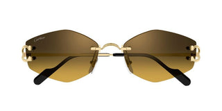 Cartier Ct0620s Unisex Gold Geometric Sunglasses