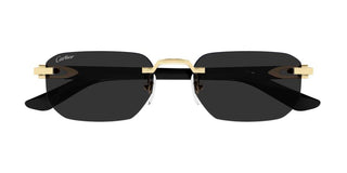 Cartier CT0622S men Black Geometric Sunglasses