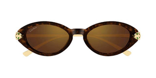 Cartier CT0634S women Havana Round Sunglasses