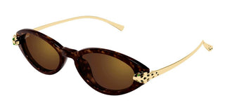 Cartier CT0634S women Havana Round Sunglasses