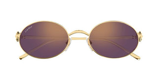 Cartier CT0644S women Gold Round Sunglasses