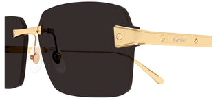 Cartier CT0652S men Gold Squared Sunglasses