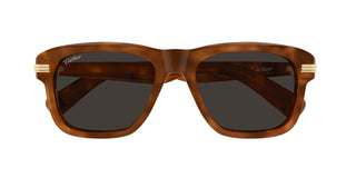 Cartier CT0657S men Havana Round Sunglasses