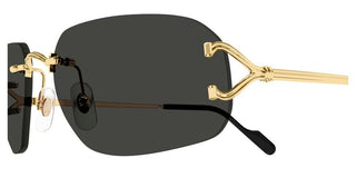 Cartier Ct0663s Unisex Gold Squared Sunglasses