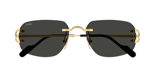 Cartier Ct0663s Unisex Gold Squared Sunglasses