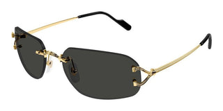 Cartier Ct0663s Unisex Gold Squared Sunglasses