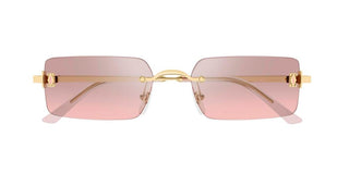 Cartier CT0672S unisex Gold Rectangle Sunglasses