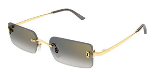 Cartier CT0672S unisex Gold Rectangle Sunglasses