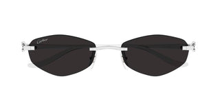 Cartier CT0675S unisex Silver Geometric Sunglasses