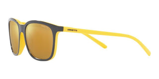 Arnette C'ROLL AN 4316 men Grey Squared Sunglasses