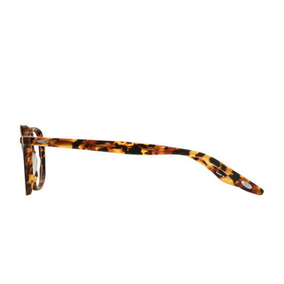 BARTON PERREIRA Dale Dale men Havana Geometric Eyeglasses