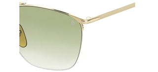 David Beckham DB 1001/S men Gold Geometric Sunglasses