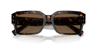 Dolce & Gabbana Dg4460 Men Havana Squared Sunglasses