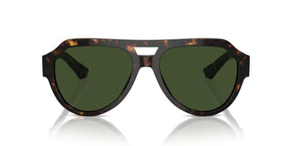 Dolce & Gabbana Dg4466 Men Havana Pilot Sunglasses