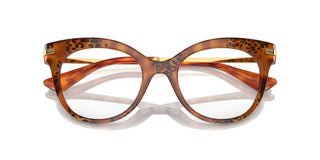 Dolce & Gabbana Dg 3392 Women Brown Cat Eye Eyeglasses