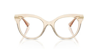 Dolce & Gabbana Dg 3392 Women Brown Cat Eye Eyeglasses