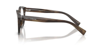Dolce & Gabbana DG 3421 men Brown Pantos Eyeglasses