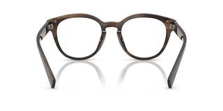 Dolce & Gabbana DG 3421 men Brown Pantos Eyeglasses
