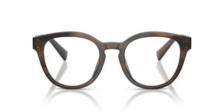 Dolce & Gabbana DG 3421 men Brown Pantos Eyeglasses