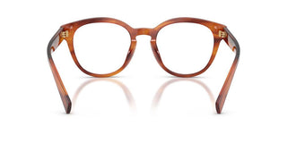 Dolce & Gabbana DG 3421 men Havana Pantos Eyeglasses