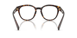 Dolce & Gabbana DG 3421 men Havana Pantos Eyeglasses