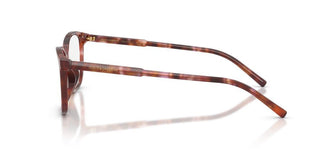 Dolce & Gabbana DG 3424 women Havana Pantos Eyeglasses