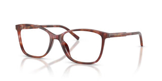Dolce & Gabbana DG 3424 women Havana Pantos Eyeglasses