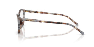 Dolce & Gabbana DG 3424 women Havana Pantos Eyeglasses