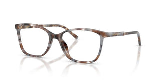 Dolce & Gabbana DG 3424 women Havana Pantos Eyeglasses