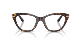 Dolce & Gabbana DG 3428 women Havana Cat Eye Eyeglasses