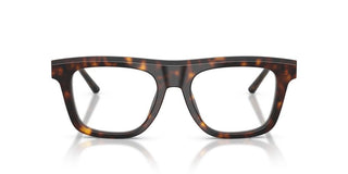 Dolce & Gabbana DG 3434 men Havana Eyeglasses