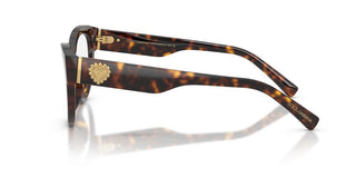 Dolce & Gabbana DG 3440 women Havana Cat Eye Eyeglasses