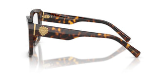 Dolce & Gabbana DG 3441 women Havana Squared Eyeglasses