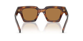 Dolce & Gabbana Dg 4413 Men Havana Geometric Sunglasses
