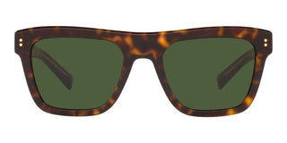 Dolce & Gabbana DG 4420 men Havana Geometric Sunglasses