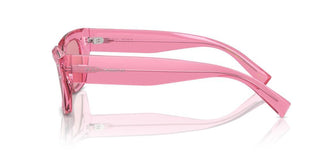 Dolce & Gabbana Dg 4462 Women Pink Rectangle Sunglasses