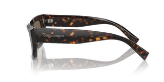 Dolce & Gabbana Dg 4462 Women Havana Rectangle Sunglasses