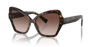Dolce & Gabbana Dg 4463 Women Havana Butterfly Sunglasses