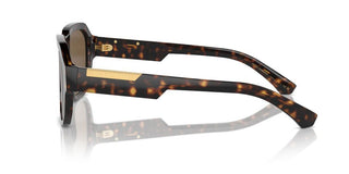 Dolce & Gabbana Dg 4464 Men Havana Pilot Sunglasses